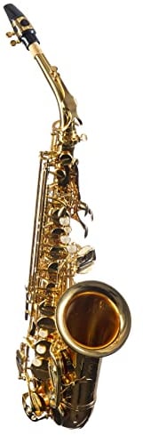 Monzani MZAS-90L Alt Saxophon für Einsteiger, Leichtgewicht, Volle Klangqualität, Einfache Ansprache, Inklusive Mundstück und Hardcase, Ideal für Anfänger