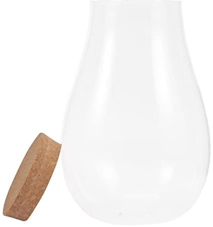 Hydrokultur-Blumenvase aus transparentem Glas, für Terrarium, Hydrokultur, Pflanzen, zylindrische Glasvasen mit Holzkorken für Zuhause und Büro