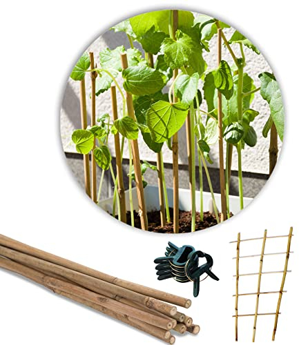 Novatool 5X Bambus Rankgitter hoch 45x17x12cm und 20x Pflanzenclips I Bindedraht mit Abschneidevorrichtung Bambus Rankhilfe Rankgitter Balkon I Rankhilfe für Kletterpflanzen Rosen Zimmerpflanzen