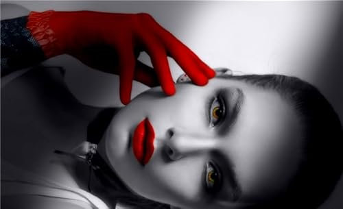 Gants Rouges Noirs Et Blancs pour Femmes - Puzzle pour Adultes - Jouets en Bois De 3000 Pièces - Décoration De La Maison - Puzzles en Bois - Prix - Idéal pour Une Soirée De Jeux