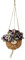 Exotenherz - Kokodama - Tradescantia zebrina im Kokodama-Gefäß zum Hängen - Dreimasterblume - ca. 15cm