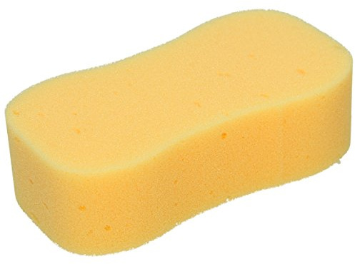 Carr Day Martin Men Care Sponge Horse Care multi One Size