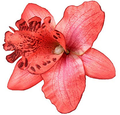 Fleurs artificielles décoration de la tête,tissu Thai orchidée mariage mariée cheveux clip broche corsage Craft