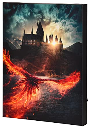 Elbenwald Harry Potter Wandbild mit Licht Phönix über Hogwarts aus Dumbledores Geheimnisse Design batteriebetrieben 30 x 40 x 3,8 cm