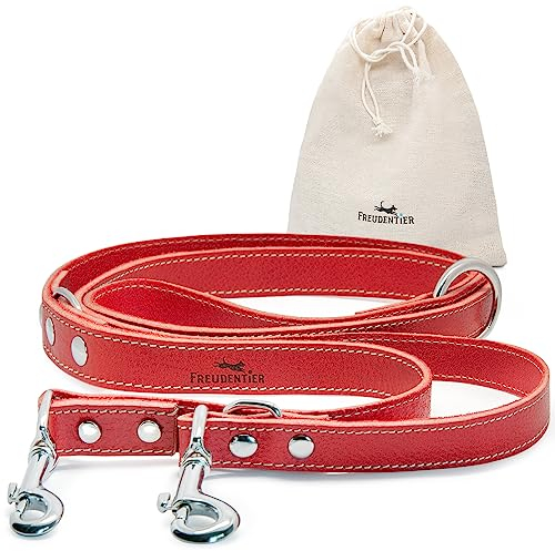 FREUDENTIER Hundeleine Leder in Spicy Red, verstellbare Führleine, robust & stilvoll, Amstelpark Kollektion - Made in EU (Rot, 20mm Breite)