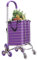 Einkaufswagen, Einkaufswagen, Trolley, Klappwagen, Anhängerwagen, tragbar, für zu Hause, für ältere Menschen, Kleiner Wagen, Treppensteigen, 2 Räder, multifunktional