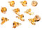 BESTOYARD 20 Stück Weihnachtsbaum Glocken Anhänger Weihnachtsanhänger Christbaumschmuck Baumschmuck Glöckchen Weihnachtsdeko zum Aufhängen (Goldene)