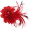 Fascinator Feder Brosche Corsage Haarspange Brosche für Hochzeit Cocktai Party (Rot)