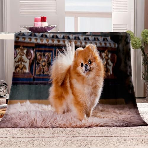 Hund Tiere Couch Decken 100 X 150 cm Fleecedecke Kuscheldecke Flauschig Herbst Decke