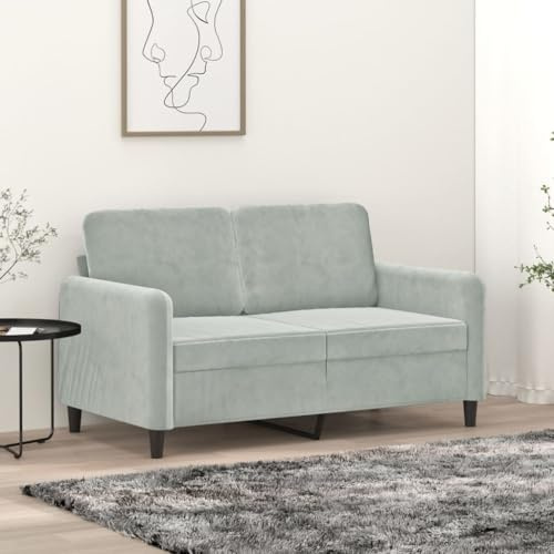 KTHLBRH 2-Sitzer-Sofa aus hellgrauem Samt, weicher Samtsessel mit stabiler Metallstruktur und bequemer Polsterung, 120 cm