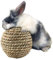 HEEPDD Balle de Paille d'herbe Naturelle, Perroquet de Jouet d'animal Familier Rongeant des Boules de Jouet de Lapin de Pied Jouets pour l'accessoire Dentaire de Cage de SantéJouets