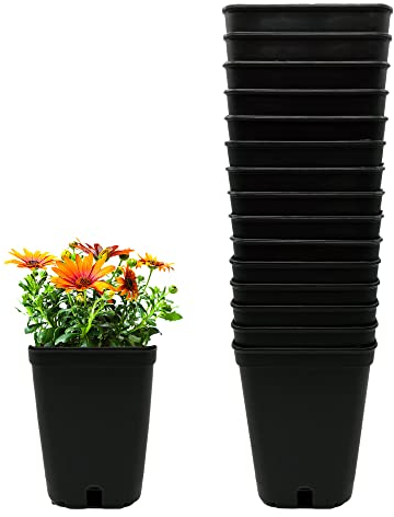 MURGIPLAST Pots carrés en Plastique pour la Culture en intérieur, Vases de Plantation de graines pour la Cultivation, Récipients extérieurs pour Plantes et Fleurs, 1 Litre, 10x10x14 cm, 15 pcs.