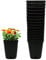 MURGIPLAST Pots carrés en Plastique pour la Culture en intérieur, Vases de Plantation de graines pour la Cultivation, Récipients extérieurs pour Plantes et Fleurs, 1 Litre, 10x10x14 cm, 15 pcs.