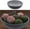 Cepewa Dekoschale │ Ø20cm x H7,5cm Kunststoff grau schwarz │ Obstschale rund Tischdeko (1 x rund grau schwarz Ø20cm)