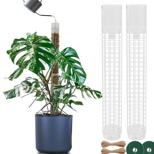 BDHHFAM Asta di muschio auto-irrigazione, 2 x 44 cm, estensibile, per piante da interno, 80 cm, in plastica per l'allenamento di piante da arrampicata verso l'alto, con palo di muschio