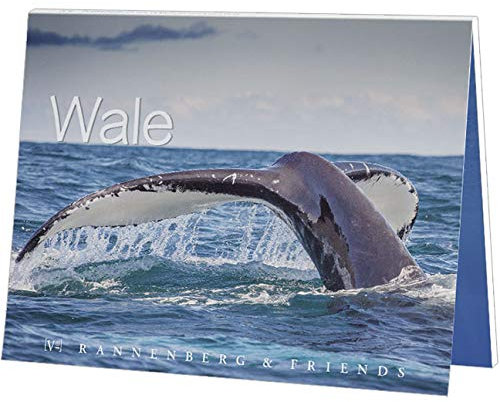 NN. 15 Atemberaubende Postkarten - Wale