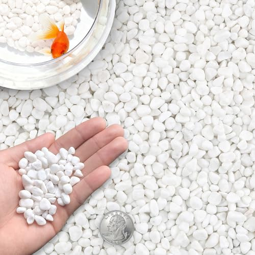 CHEOAR Weiße Dekosteine 3IB (1.4kg), 12-15mm Natürliche Weiße Steine für Garten, Vasen, Aquarium & Außendekoration, Zierkies Weiß, Steine Garten, Deko Steine Kleine, Dekosteine Weiß