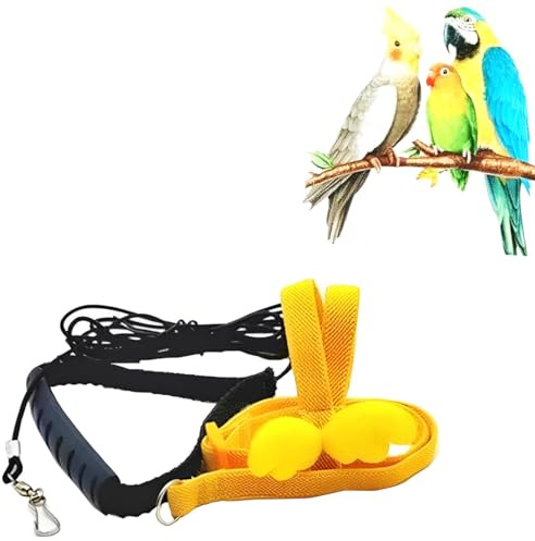 Norhogo Perroquet Oiseau Harnais et Laisse Réglable Perroquet Harnais Laisse Formation Fournitures Pet Extérieure Corde Volante pour Perroquets Pigeons Oiseaux