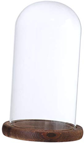 MagiDeal Cloche de en Verre avec Couvercle en Bois de Support de Paysage des Fleurs, Brown D