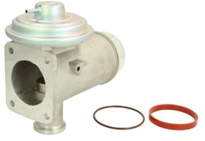 DELPHI EG10466-12B1 AGR-Ventil Abgasrückführungsventil ohne AGR-Kühler Kompatibel mit BMW 3 Touring E91 11717792077 11717804381 EG10466