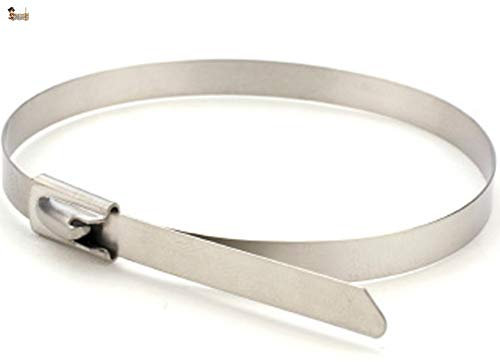 BricoLoco Bridas metálicas inoxidables. Abrazadera para tubos, escape moto, guardapolvos fuelle palier. Sujeción en ambientes húmedos, salinos o altas temperaturas. (50, 7,9x500)