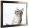 myposterframe Komfort Juno 50 x 70 cm Rahmen Vintage Metall