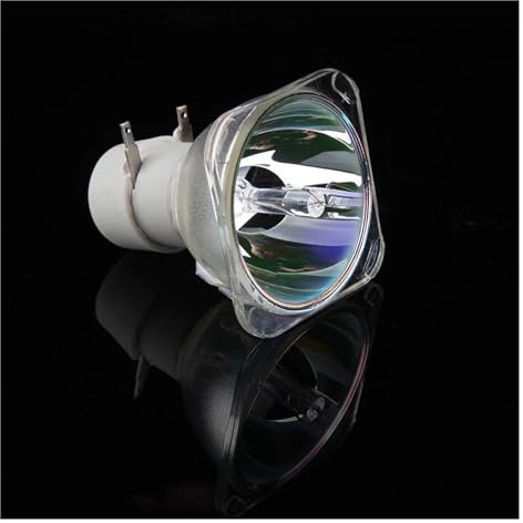 LIMINGHUA RLC-100 Projektorlampe for View-Sonic CINE1000 PJ1000 PJD7720HD PJD7828HDL PJD7831HDL PJL1000 Pro10100 Pro8100 Projektoren(RLC-100-CB)