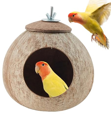 Nid D'oiseau en Noix De Coco – Bol en Noix De Coco Naturelle De 15 Cm, Nichoir Confortable | Chapeau D'oiseau Cocos Hush en Coque De Cocos Robuste, Facile À Accrocher sans Outils, Idéal pour Le Salon