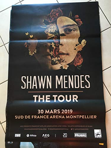Poster Shawn Mendes, 80 x 120 cm