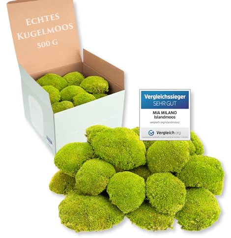 Mia Milano Kugelmoos hellgrün konserviert | 500g Echtes Bollenmoos für Moosbilder | Haltbares Moos zum Basteln | Wetterfestes hellgrünes Islandmoos