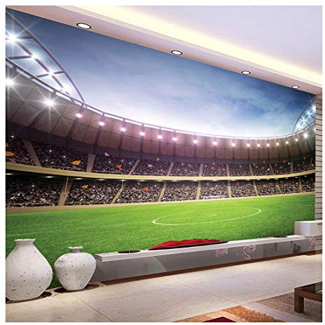 Football Stadium Pitch Sports Wall Mural Photo Wallpaper Kids Bedroom Kitchen