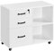 Yaheetech File Cabinet Mobile Letter Size File Organization Unit Mobile Lateral Filing Cabinet Printer Stand for Home and Office,White