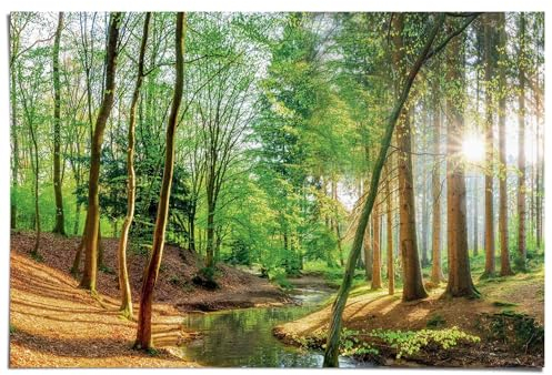 REINDERS Poster, Wald in der Sonne, Wohnzimmer, Poster, Wanddeko, Room Decor, 150 gr. glänzend Bilderdruckpapier, Grün, 61x91,5cm