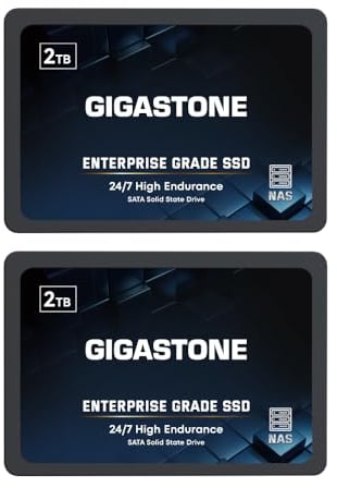 Gigastone SSD 2TB NAS SSD Disco (set da 2) 24/7 Alta Resistenza TLC business RAID Sync Cloud Dati Backup Network Attached Storage Cache SATA III 2,5 Pollici Unità a stato solido interno