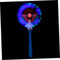 GETAJGHSD Lumineux à Rotation Led Avec Sons De Sabots De Cheval Jouet De Fête Pour Garçon Fille Pour Et Événements Festifs