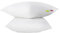Abeil Bio Haltung 2 Stück Kissen Bio Haltung 60 x 60 Baumwolle WEIß 60 x 60 cm