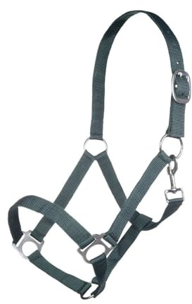 Posten 10978 Brisbane Halfter dunkelgrün Warmblut ,