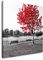 EAUZONE GmbH Parkbank unter einem Baum 60x60cm Wandbild auf Leinwand, Kunstdruck Moderne Bilder