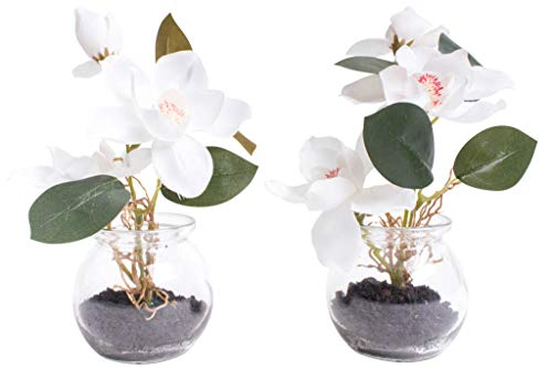 Nova-Nature künstliche Magnolie im Glas (2 Stück) (Creme-weiß)
