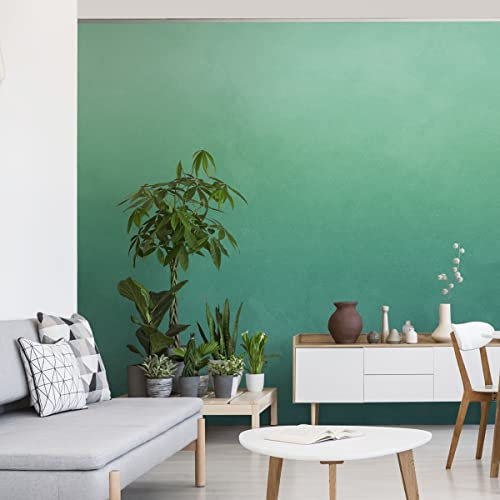 Muralo VLIES FOTOTAPETE 90x60 TAPETE Wandtapeten Bunte Ombre-Musterdekoration Wohnzimmer Schlafzimmer Moderne Wandbilder XXL Wand Dekoration Abstrakt Luxus Br. 90 cm x Hö. 60 cm