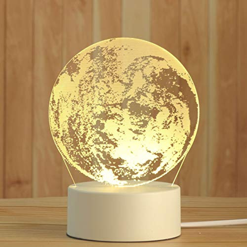 AKIS HOME 3D Nachtlicht, LED Illusion Lampe mit Smart Touch 7 Farben für Wohnzimmer Schlafzimmer, Geburtstagsgeschenk für Mädchen Junge (Erde, 3-farbig)