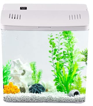 Kleines Aquarium mit Filter | Meerwasseraquarium, Mini – Zubehör für Haustiere, Büro, Haus, Dekoration