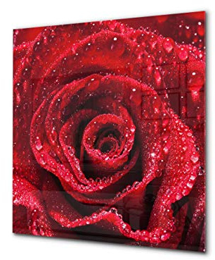 Glass kitchen backsplash – Tempered Glass splashback – Photo backsplash BS03 Flower Series: Red Rose 2