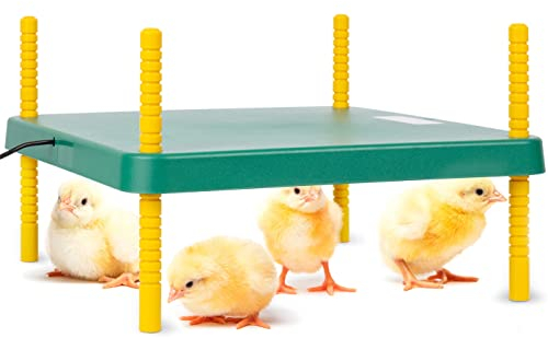 VOSS.farming Küken Wärmeplatte VD35 35x35cm 30W Kükenaufzucht Heizplatte Wärmelampe Geflügel Hühner