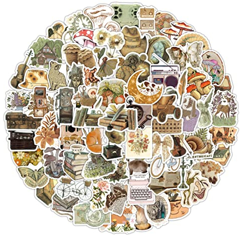 Bric Dodo 110 Stück Retro Aufkleber Wasserflaschen Laptop Telefon Gitarre Skateboard Computer Koffer Fahrrad Weinlese Vinyl Stickers Wasserdicht Ästhetisch Aufkleber für Jugendliche Kinder Erwachsene