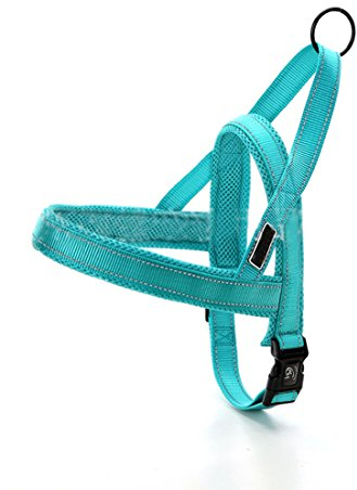 Hundegeschirr Mesh Welpengeschirr Nylon Norwegergeschirr Soft Vest Harness Brustgeschirre Reflektierende Sicherheitsgeschirr Brustgurt für Kleine, Mittlere und Große Hunde (L, grün-b)