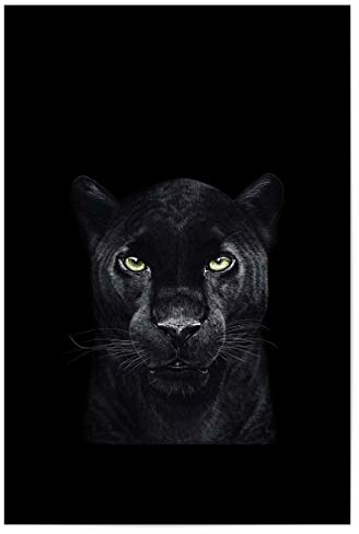 artboxONE Poster 30x20 cm Tiere Black Panther on Black hochwertiger Design Kunstdruck - Bild Panther cat Panther