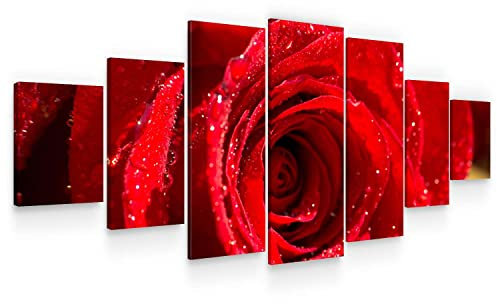 Startonight Leinwandbild xxl Leidenschaftliche Rote Rose Blume - Leinwandbilder Moderne Kunst - Natur Wanddeko Kunstdrucke, Wandbilder 7 teile 100 x 240 cm, Tag Nacht Groß Bild