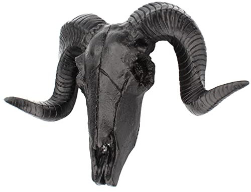 MagiDeal Sheep Head Wall Hanging wall Mounted Sculpture Curled Wall Art Wildlife Animal decor Faux Taxidermy