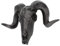 MagiDeal Sheep Head Wall Hanging wall Mounted Sculpture Curled Wall Art Wildlife Animal decor Faux Taxidermy